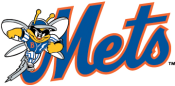 Binghamton-Mets