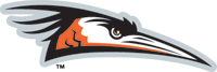 Delmarva-Shorebirds-2010