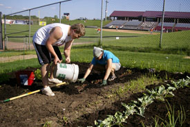 Wisconsin Garden2