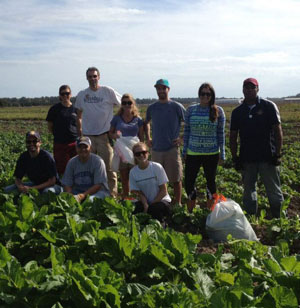 The RiverDogs staff spends the day volunteering with Fields to Families.