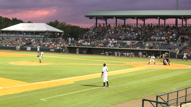 CharlestonRiverDogs_2014-07-14