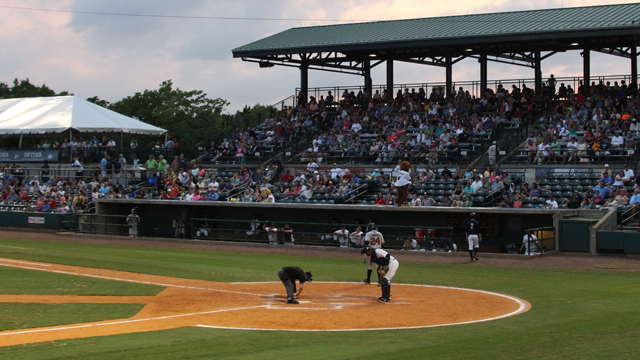 CharlestonRiverDogs_2014-07-15