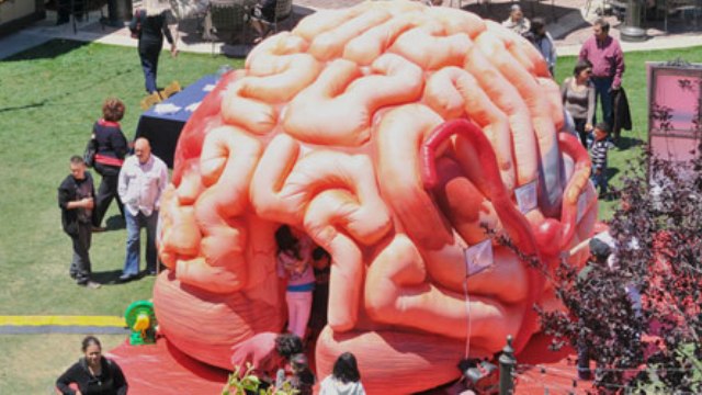 See MEGA Brain at Neuroscience Group Field at Fox Cities Stadium on Friday, June 27!