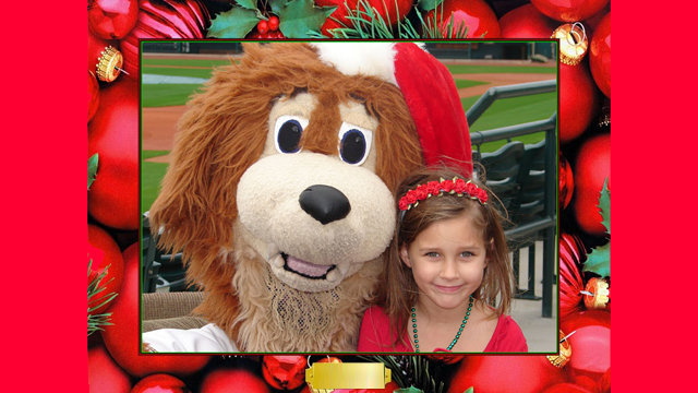 CharlestonRiverDogs_2014-11-12