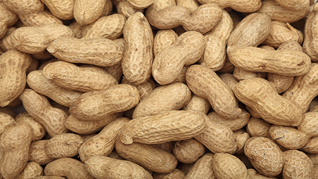 Peanuts. Close-up.